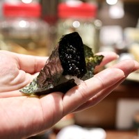 鳥茂 - 