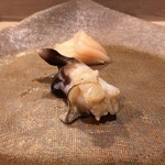 うを徳 - 鳥貝（握り）