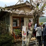 菓秀　桜　 - 