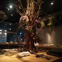 テアトロ ディ マッサ - 店内