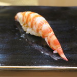 日本橋蛎殻町 すぎた - 車海老握り