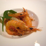 ヌーダ - 川津海老