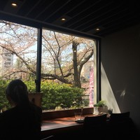 OndaTokyo - 