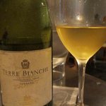 クオ　ヴァディス - 白