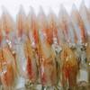遊楽旬彩 直 - 料理写真:生ホタルイカ