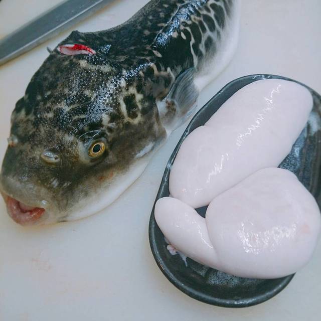 Yuraku Shunsai Nao photo 3