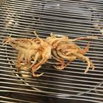 てんぷらと和食 山の上 本店・御茶ノ水 - 