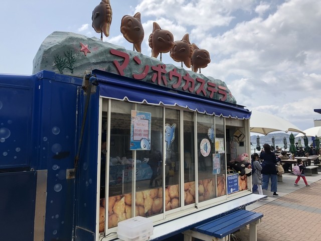 鴨川シーワールドの中の売店「マンボウのカステラ」 : マンボウカステラ