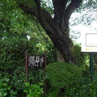 鎌倉山 本店 - 
