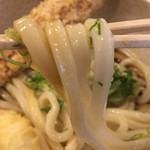 讃岐うどん 白庵 - 