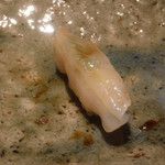 寿し おおはた - 