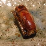 寿し おおはた - 