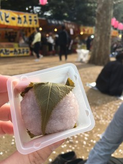 Kashouseikanin - 桜餅@薬師公園