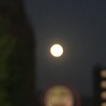 古拙 - あれ、満月ってこんなにきれいたっだっけなとしばらく見つめてしまいました