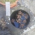 マジック×マレット - ブラウニー