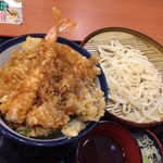 Tendon Tenya - 