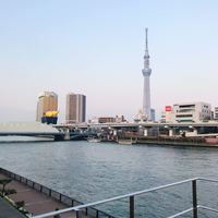 ナベノ-イズム - 
