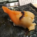 第三春美鮨 - アオヤギ　大　桁曳き網漁　北海道野付