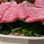（説明なし）