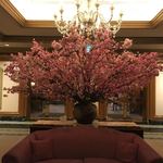 ル・ジャルダン - 