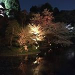 ル・ジャルダン - 