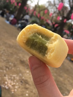 Kashouseikanin - 菜の花しぐれ@薬師公園