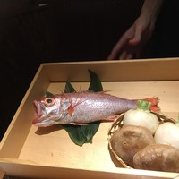 のどぐろ専門 銀座 中俣 - 