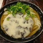 うどん 丸香 - 丸天うどん