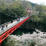 長生うどん - 桜淵公園