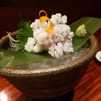旬家 和しん - 鱧の湯引き