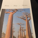 フロリレージュ - バオバブ