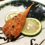 ぎおん 阪川 - ぼうこのこ