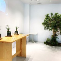 ENEKO Tokyo - 