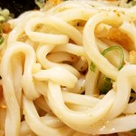 Hanamaru Udon - おろし醤油大400円