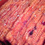 尾花 - 神々しい鰻のアップです。