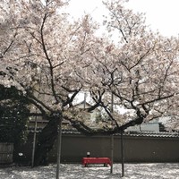 招福樓 本店 - 