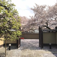 招福樓 本店 - 