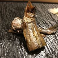 SUSHI TOKYO TEN、 新宿ニュウマン店 - 