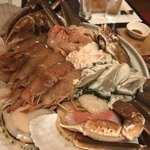 ツキと寿っぽん - 