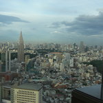 ピーク・バー - 景色（六本木側）