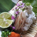 玉ゐ - 初夏のおすすめ「天然穴子の湯引き造り」