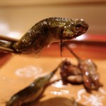 銀座 しのはら - 38