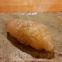 鮓 たいと - ハタ