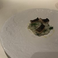 ヤマガタ サンダンデロ - 