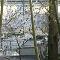 鮨・鉄板焼 彩 - 