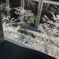 肉寿司 肉和食 KINTAN コレド室町 - 
