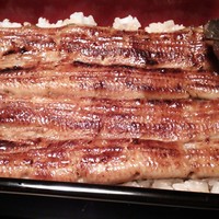 うなぎ割烹 大江戸 - 