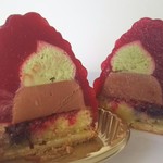 アヴランシュ・ゲネー - エピスフランボワーズの断面