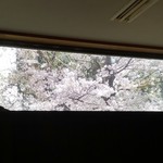 味のおもてなし 浜 - 桜の季節はカウンターがお勧め♪