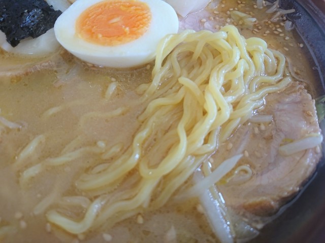 島っ子ラーメン - 渡波（ラーメン）の写真